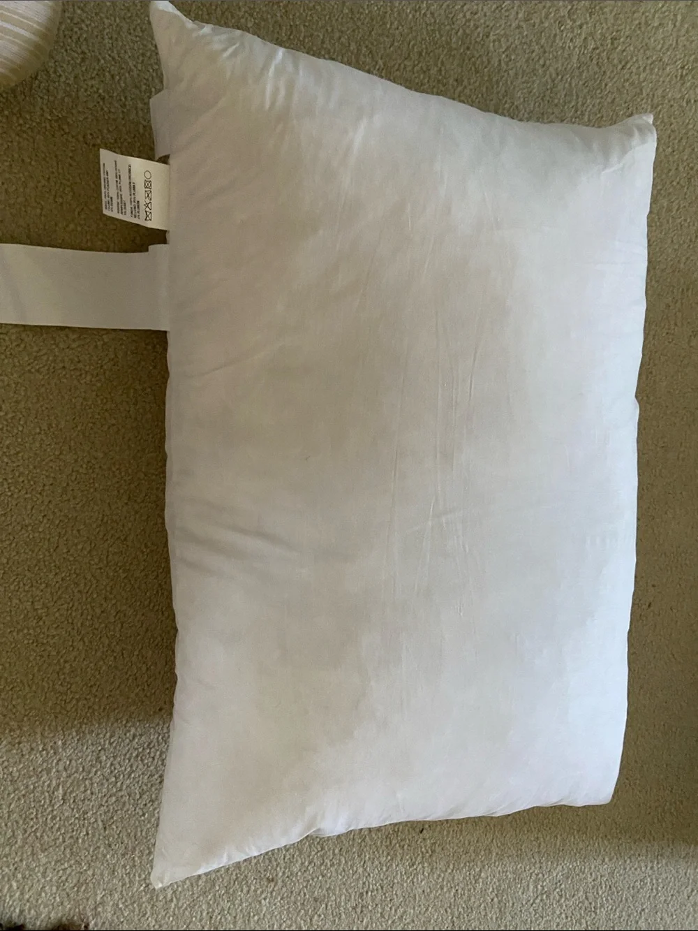 Crate & Barrel Feather Down Pillow Insert 21x14 new